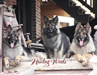 howlingwinds